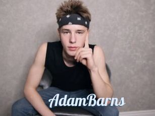 AdamBarns