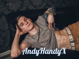 AndyHandyX