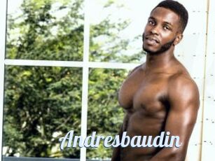 Andresbaudin