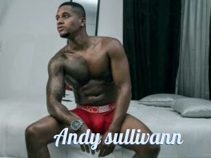 Andy_sullivann