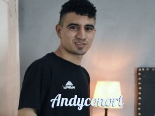 Andyconort