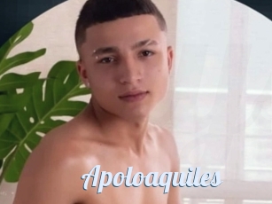 Apoloaquiles