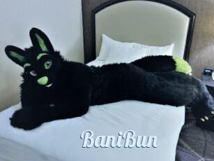 BaniBun