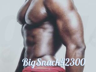 BigSnack42300