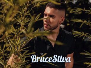 BruceSilva