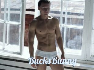 BucksBunny