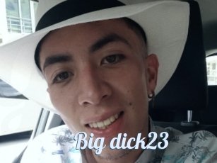 Big_dick23