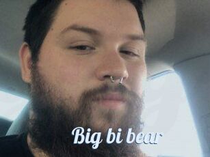 Big_bi_bear