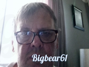 Bigbear61