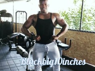 Blackbig10inches