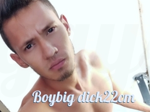 Boybig_dick22cm