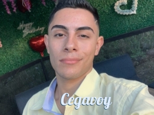 Cegavoy