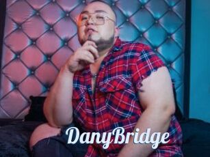 DanyBridge