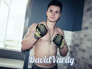 DavidVardy