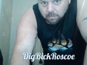 DigBickRoscoe