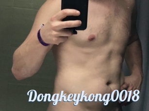 Dongkeykong0018