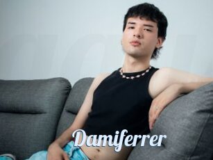 Damiferrer