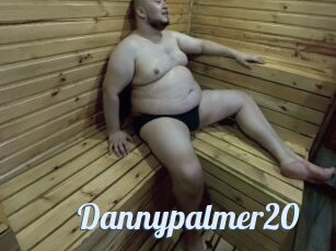 Dannypalmer20