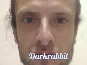 Darkrabbit