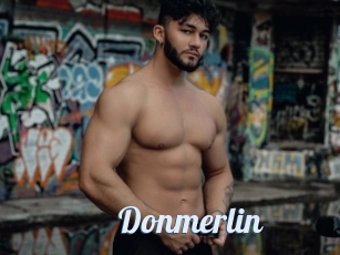 Donmerlin