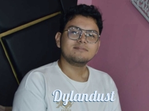 Dylandust