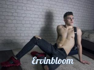 Ervinbloom