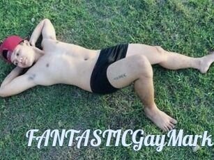 FANTASTICGayMark