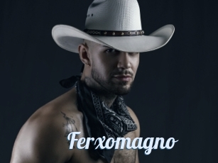 Ferxomagno