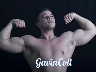 GavinColt