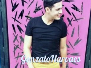 GonzaloNarvaes