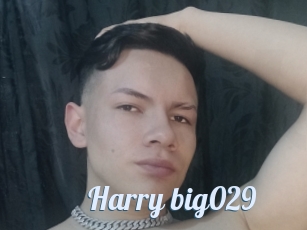 Harry_big029