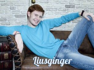 Liusginger