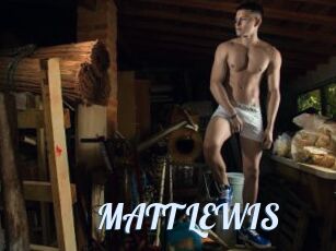 MATT_LEWIS