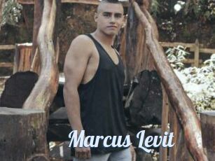 Marcus_Levit