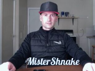 MisterShnake