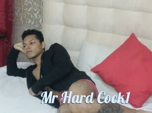 Mr_Hard_Cock1