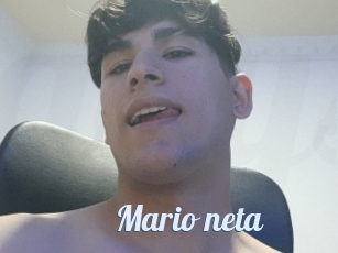 Mario_neta