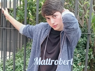 Mattrobert