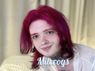 Mitcroys