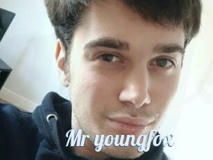 Mr_youngfox