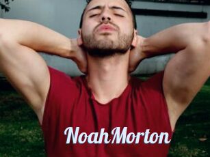 NoahMorton