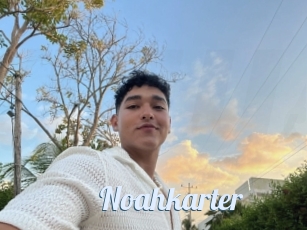 Noahkarter