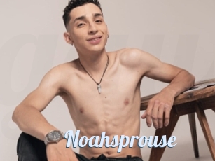 Noahsprouse