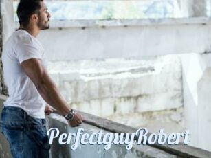 PerfectguyRobert