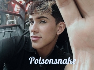 Poisonsnake