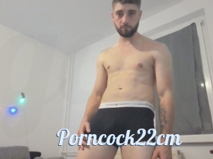 Porncock22cm