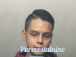 Purevestalnino