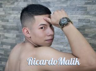 RicardoMalik