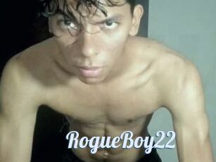 RogueBoy22