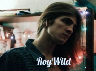 RoyWild